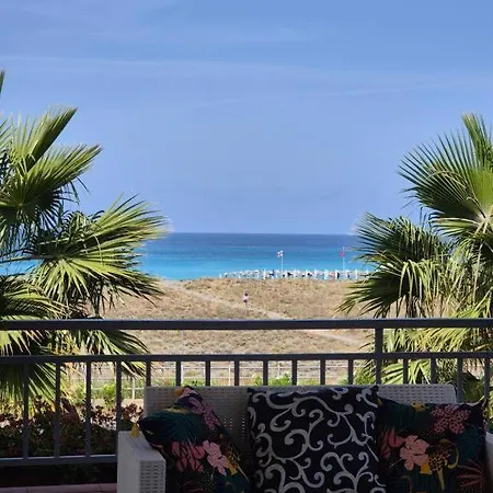 Hsdominicus 4*